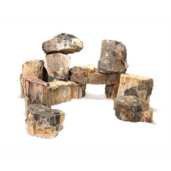 wood fosil rock سنگ فسیل چوب 